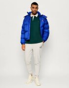Tommy Hilfiger Polo | regular fit