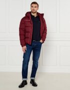 Tommy Hilfiger Polo | Regular Fit