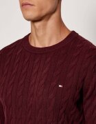 Tommy Hilfiger Pulover TH x F.C. Liverpool | regular fit