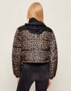 Tommy Jeans Geacă | Loose fit