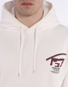 Tommy Jeans Hanorac 3D STREET | Regular Fit