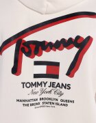 Tommy Jeans Hanorac 3D STREET | Regular Fit