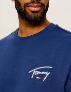 Tommy Jeans Hanorac Entry Signature | regular fit