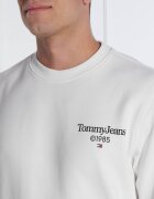 Tommy Jeans Hanorac | Regular Fit