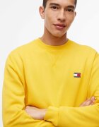 Tommy Jeans Hanorac | regular fit