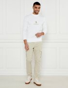 Tommy Jeans Pantaloni cargo AUSTIN | Regular Fit