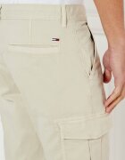 Tommy Jeans Pantaloni cargo AUSTIN | Regular Fit
