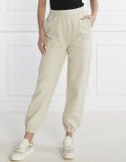 Tommy Jeans Pantaloni de trening CLASSICS EXT | Relaxed fit