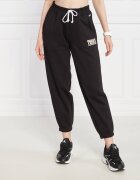 Tommy Jeans Pantaloni de trening TJW TJ LUXE 2 | Regular Fit