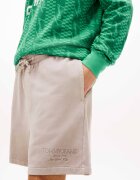 Tommy Jeans Pantaloni scurți | regular fit