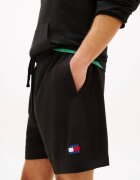 Tommy Jeans Pantaloni scurți | regular fit