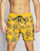 Vilebrequin Șorți de baie MOOREA | Regular Fit