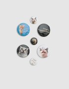 House Set de insigne