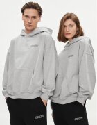 2005 Bluză Unisex Basic Hoodie Gri Relaxed Fit