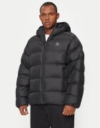 adidas Geacă de iarnă Tonal IY3396 Regular Fit