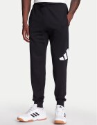 adidas Pantaloni trening Essentials Big Logo IN6163 Regular Fit
