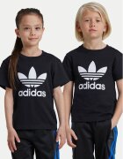 adidas Tricou adicolor Trefoil IY2385 Regular Fit