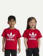 adidas Tricou adicolor Trefoil IY2387 Regular Fit