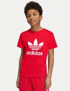adidas Tricou adicolor Trefoil IY7423 Regular Fit