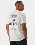 adidas Tricou Category Training Graphic JM8976 Écru Regular Fit