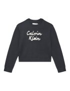 Calvin Klein Jeans Pulover IG0IG02971 D Regular Fit