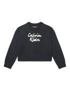 Calvin Klein Jeans Pulover IG0IG02971 M Regular Fit