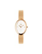 Daniel Wellington Ceas DW00100883