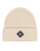 DC Shoes Căciulă Label ADYHA04164