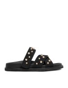 DeeZee Şlapi CEO-LB-P2132