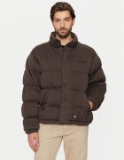 Dickies Geacă de iarnă DK0A4Z38BLK Relaxed Fit