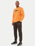 EA7 Emporio Armani Trening 7M002428 AF10377 M3037 Regular Fit