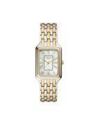 Fossil Ceas Raquel ES5305