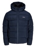 Jack & Jones Geacă de iarnă Efreddie 12299907 Regular Fit