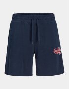 Jack & Jones Junior Pantaloni scurți sport Logo 12257300 Slim Fit