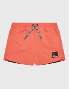 Jack Wolfskin Pantaloni scurți sport Teen 1609881 Regular Fit