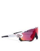 Oakley Ochelari de soare Jawbreaker 0OO9290 92900531