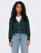 Only Cardigan 15211521 Regular Fit