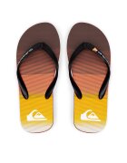 Quiksilver Flip flop MOLOKAI STRIPE AQYL101361 XNNK