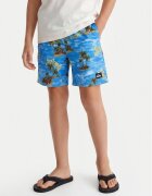 Quiksilver Pantaloni scurți pentru înot Everyday EQBJV03501 Regular Fit