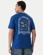 Quiksilver Tricou W126-QSMTS-1007-19P Regular Fit