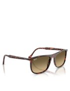 Ray-Ban Ochelari de soare 0RB2216