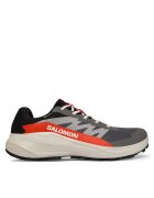 Salomon Pantofi pentru alergare Alphaglide Gore-Tex L47975300