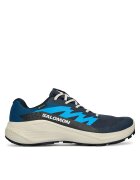 Salomon Pantofi pentru alergare Alphaglide Gtx L47975100