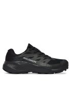 Salomon Pantofi pentru alergare Alphaglide Gtx W L49214400