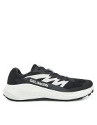 Salomon Pantofi pentru alergare Alphaglide L47801000