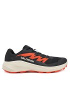 Salomon Pantofi pentru alergare Alphaglide L47801100