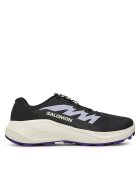 Salomon Pantofi pentru alergare Alphaglide L47801800