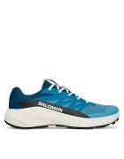 Salomon Pantofi pentru alergare Alphaglide L48000400