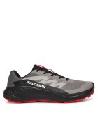 Salomon Pantofi pentru alergare Alphaglide L48000800