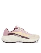 Salomon Pantofi pentru alergare Alphaglide W L49092800 Écru
